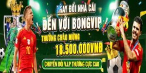 Bongvip - Dịch vụ trang cược chất lượng, an toàn nhất