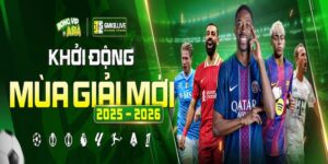 Bongvip - Khám phá nền tảng số 1 giải trí siêu đỉnh cao